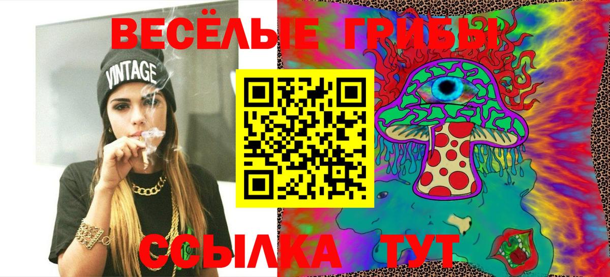 Камень-на-Оби  Галлюциногенные грибы мицелий  Псилоцибиновые грибы MAGIC MUSHROOMS  Вход с VPN 